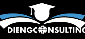 DIENG Consulting